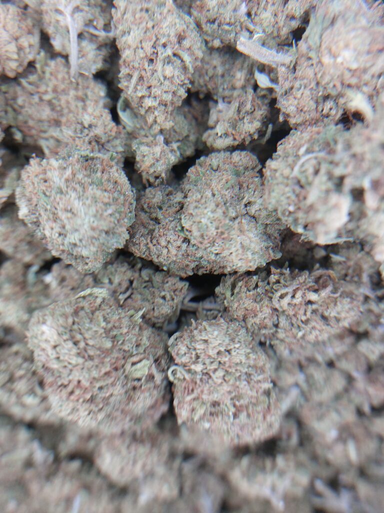 Gazolina cbd old.cookiz.io