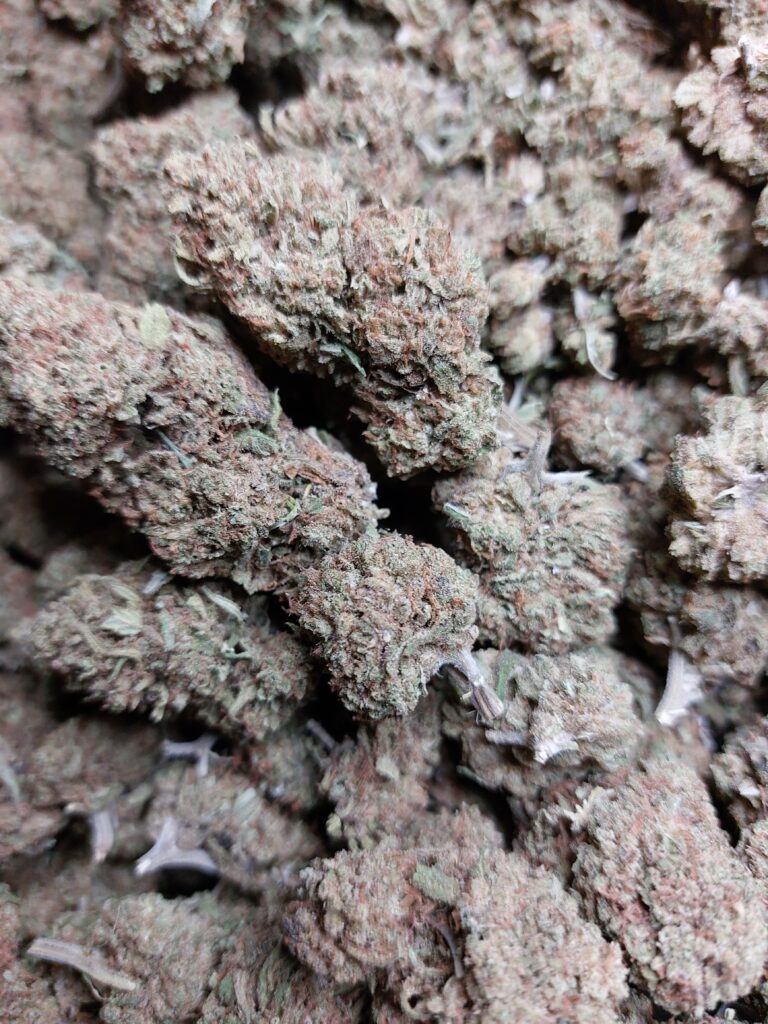 Gazolina cbd old.cookiz.io